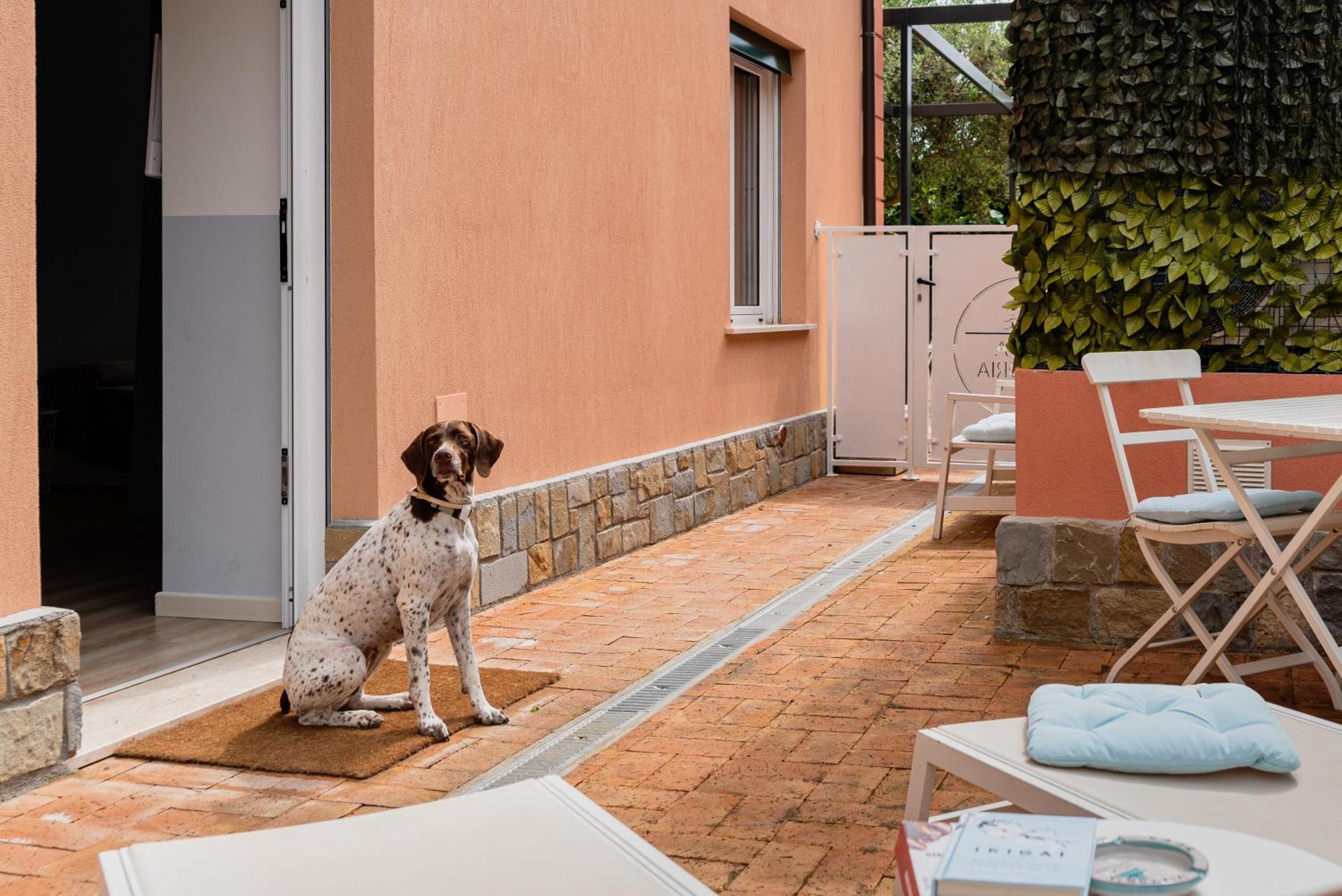 Casa Vittoria Villa Agropoli Eksteriør billede