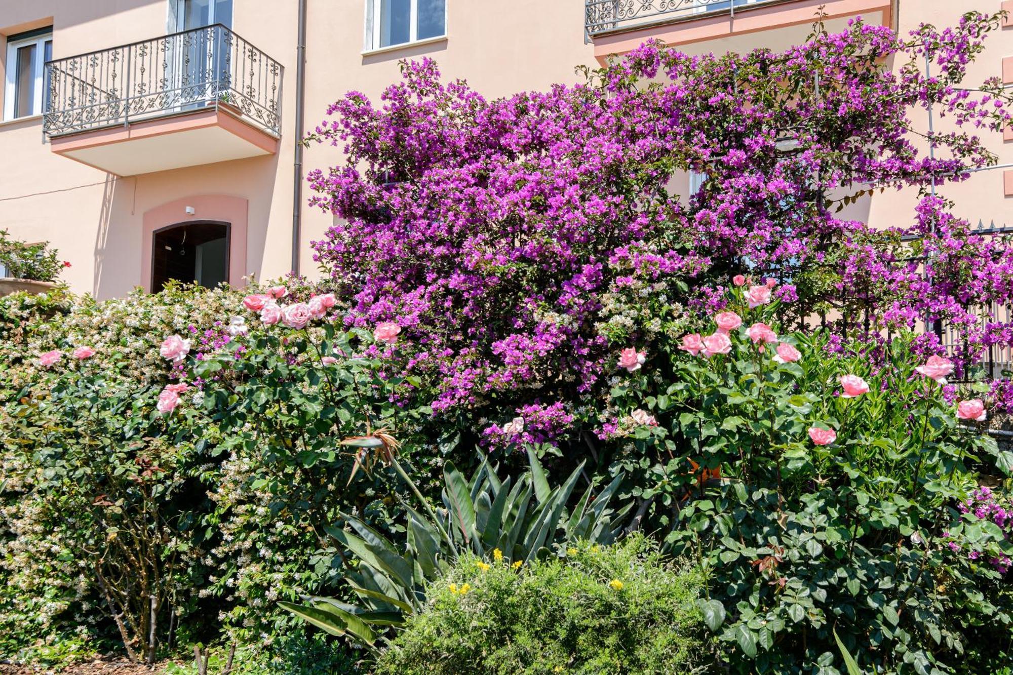 Casa Vittoria Villa Agropoli Eksteriør billede